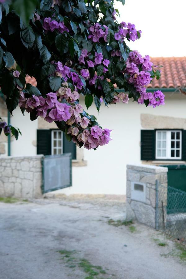 Casa Velha Villa Paradamonte Bagian luar foto
