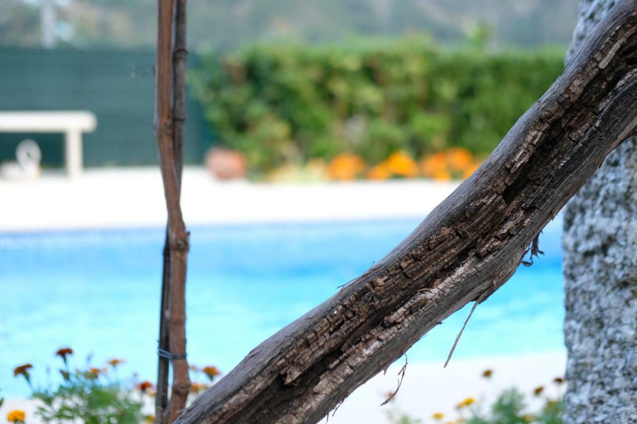 Casa Velha Villa Paradamonte Bagian luar foto