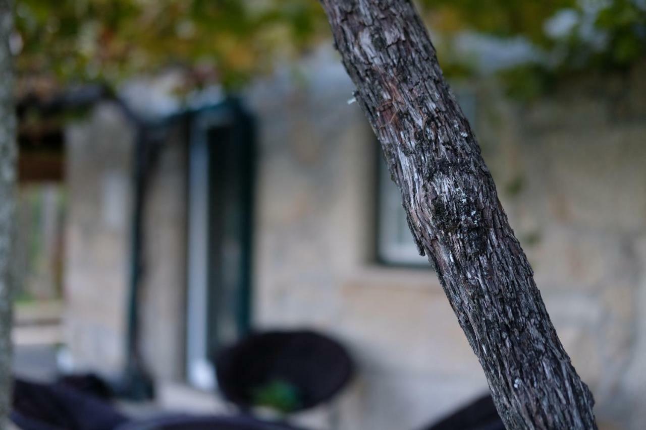 Casa Velha Villa Paradamonte Bagian luar foto