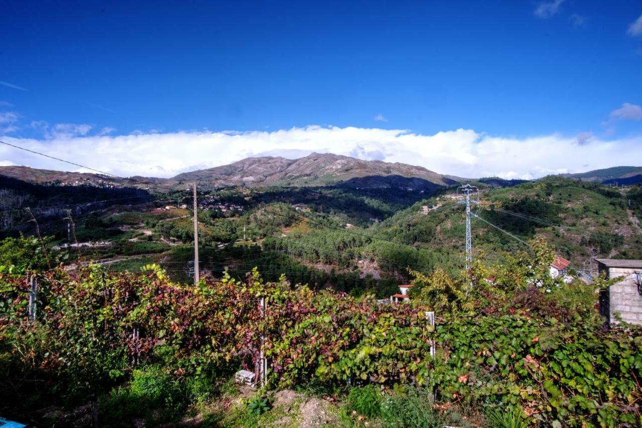 Casa Velha Villa Paradamonte Bagian luar foto